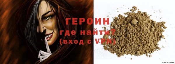 индика Няндома
