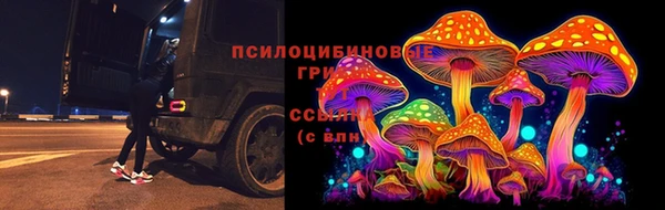 ECSTASY Нягань