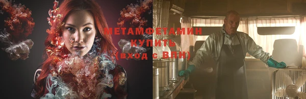 индика Няндома