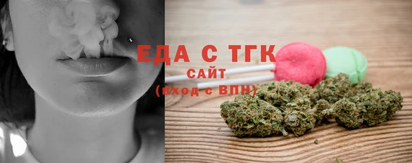 индика Няндома