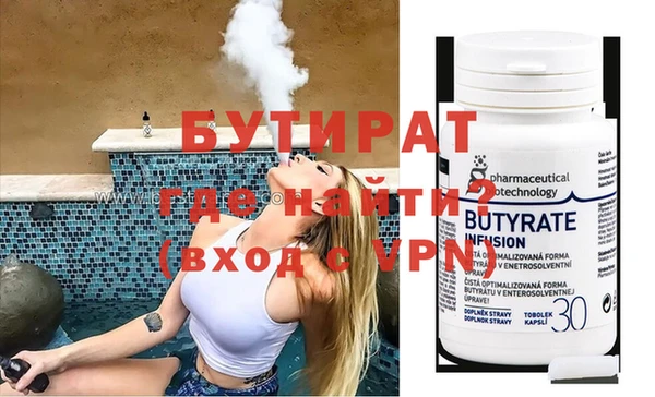 индика Няндома
