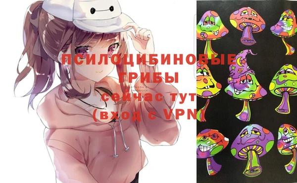 индика Няндома