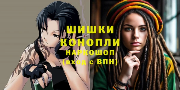 индика Няндома