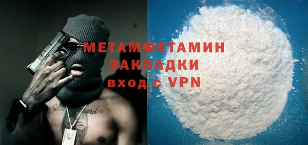 индика Няндома