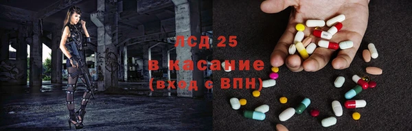 индика Няндома
