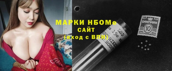 индика Няндома