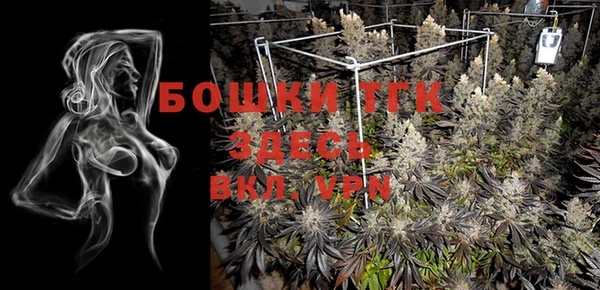 индика Няндома