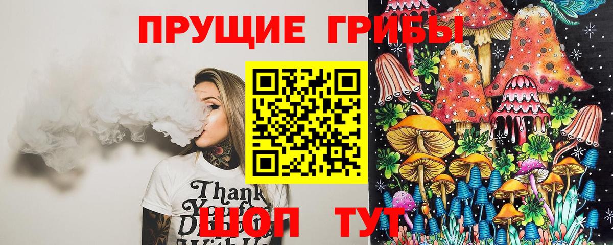 Псилоцибиновые грибы прущие грибы  Галлюциногенные грибы Psilocybe  Стрежевой 