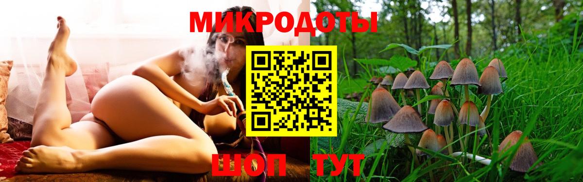 Галлюциногенные грибы MAGIC MUSHROOMS  Вход с VPN  Псилоцибиновые грибы мухоморы  Стрежевой 
